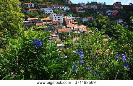Madeira Hillside Village View From Levada Walk With Agapanthus Flowers.
