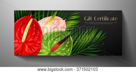 Gift Card With Tropical Exotic Realistic Asian Flower - Anthurium Andraeanum (flamingo Flower) And G