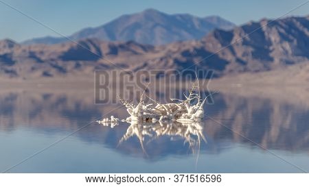 Panorama Frame Salt Sculpture On Twigs At Bonnievale Salt Flats