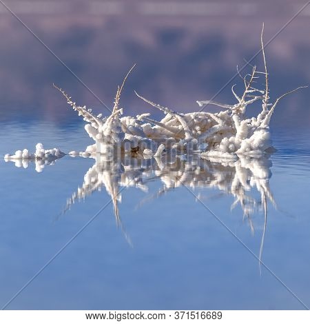 Square Crop Crystallised Salt Formation Reflected In The Lake