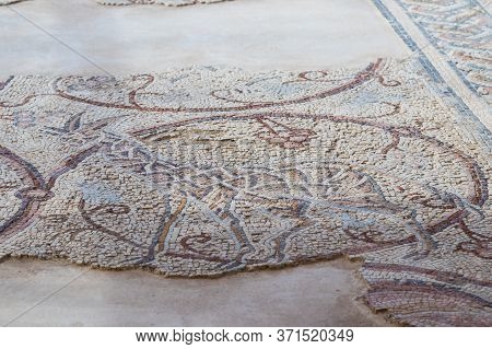 Kfar Adumim, Israel, November 25, 2017 : Fragment Of A Mosaic On A Floor In A The Good Samaritan Mus