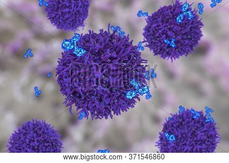 B-cell And Antibodies, 3d Illustration. Principles Of Immunity