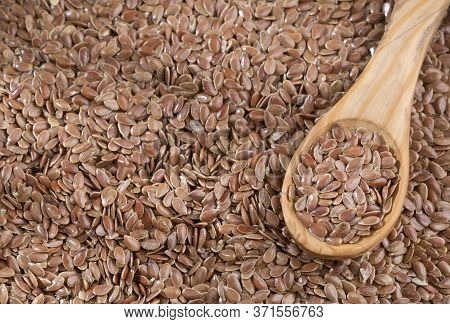 Linseed Organic Seeds - Linum Usitatissimum. Text Space