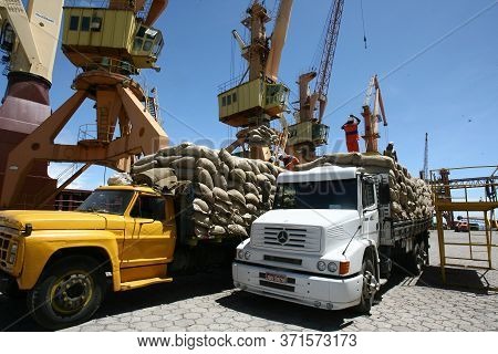 Ilheus, Bahia / Brazil - March 26, 2012: Workers Are Seen Disembarking Cocoa Beans At The Port Of Il