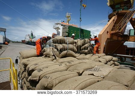 Ilheus, Bahia / Brazil - March 26, 2012: Workers Are Seen Disembarking Cocoa Beans At The Port Of Il