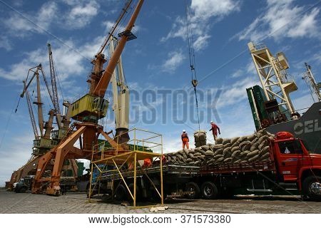 Ilheus, Bahia / Brazil - March 26, 2012: Workers Are Seen Disembarking Cocoa Beans At The Port Of Il