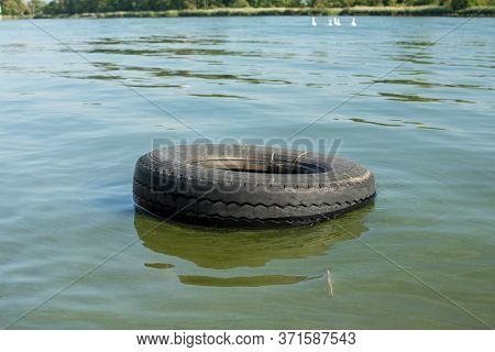 Old Tire Floats In Water Trees And Swan