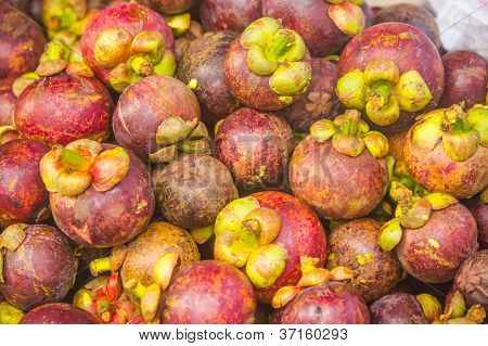 Mangosteen