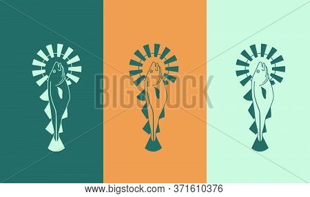 Holy Cod Fish Illustration Set In Three Color Combinations. Vector Illustration Vintage Style