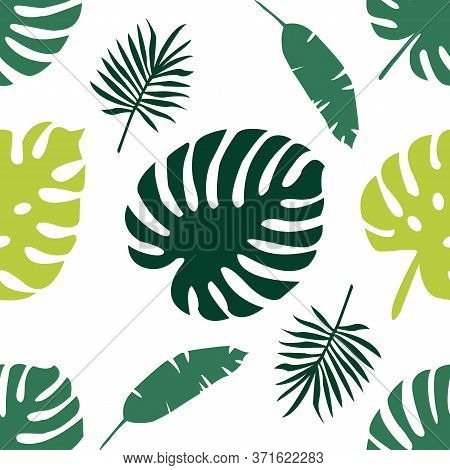 Tropical Leaves Seamless Pattern. Creative Leaf Patterns Vector Design