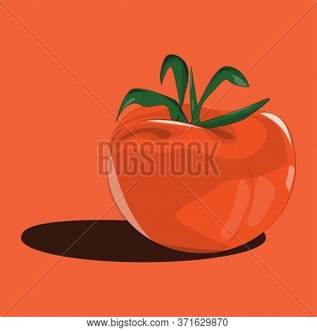 Fresh Tomatoes Are Represented In Vectors. The Small Tomato