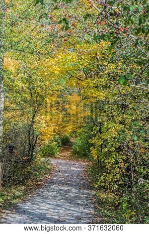 Pake In Fall Time Near Toronto, Canada