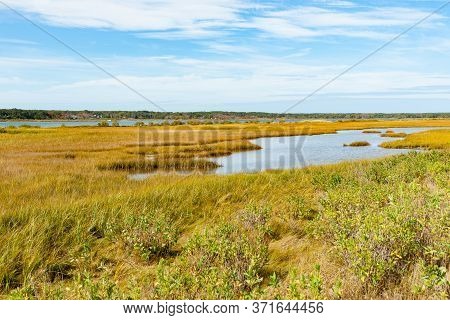 Wetland Of Sengekontacket Pond On Martha's Vineyard, New England, Usa.
