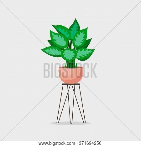 Aglaonema In Pot On Stylish Stand. Interior Houseplant Vector Illustration Isolated Background