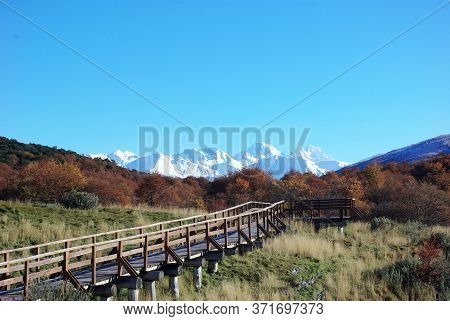 Wooden Path To The Snowy Mountains In The Nature Of The National Park Lapataia In Ushuaia Patagonia 