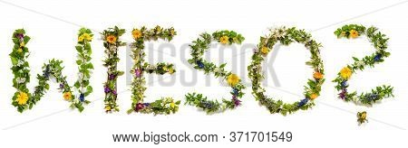 Flower And Blossom Letter Building Word Wieso Means Why