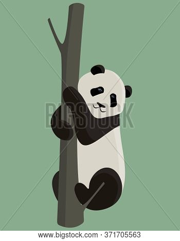 Panda Climbing Tree. Cute Animal In Cartoon Style.