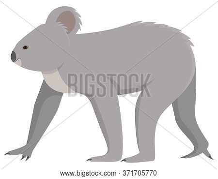 Walking Adult Koala. Cute Animal In Cartoon Style.