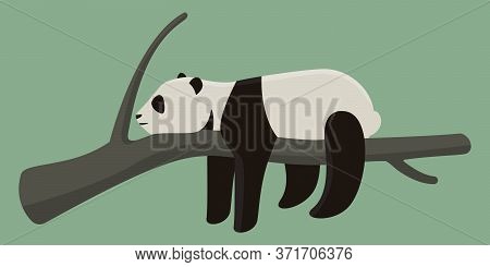 Panda Sleeping On Branch. Cute Animal In Cartoon Style.