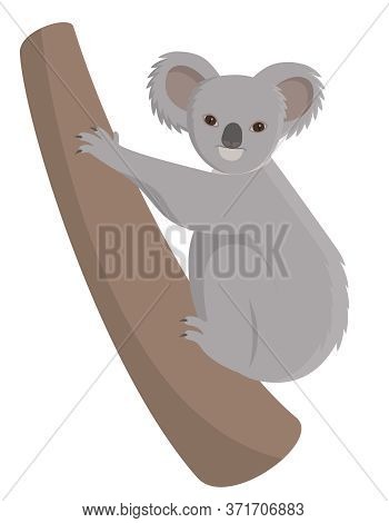 Koala Climbing Tree. Cute Animal In Cartoon Style.