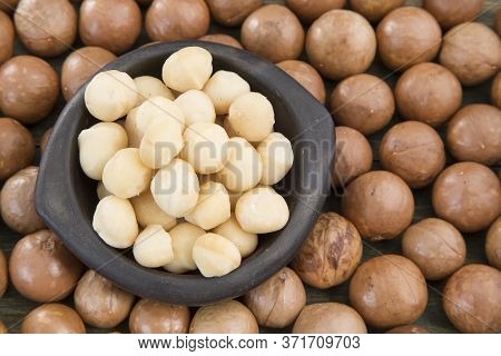 Macadamia Nuts - Macadamia Integrifolia. Top View