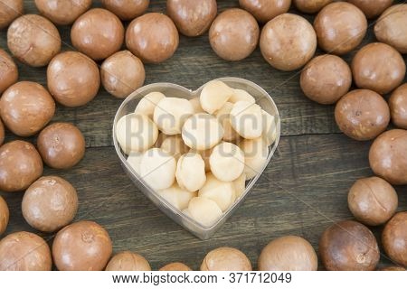 Macadamia Nuts - Macadamia Integrifolia. Top View
