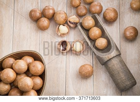 Macadamia Nuts - Macadamia Integrifolia. Wood Background