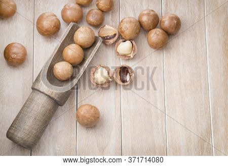 Macadamia Nuts - Macadamia Integrifolia. Text Space