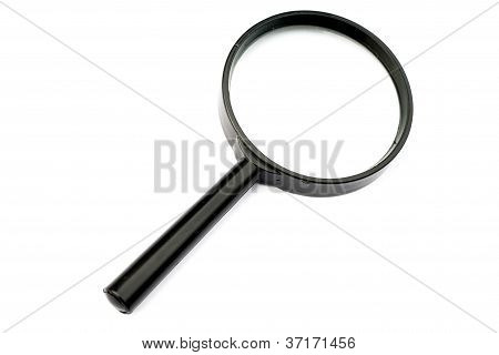 Lupa na białym tle