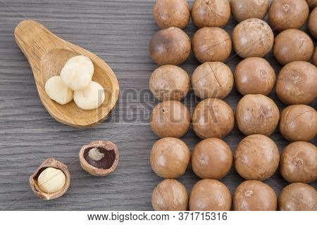 Macadamia Nuts - Macadamia Integrifolia. Text Space