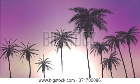 Summer Palm Trees In Sunset Scene. Vector Illustration. Eps 10