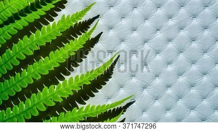 Green fern leaves on a light artificial leather background, copy space for text