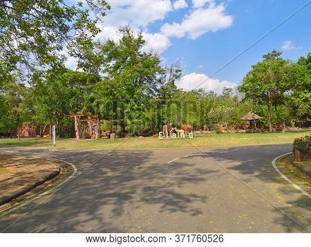 Nakhon Ratchasima Zoo Nakhon Ratchasima Thailand-09 March 2019::tourists Rent Bicycles Or Golf Carts