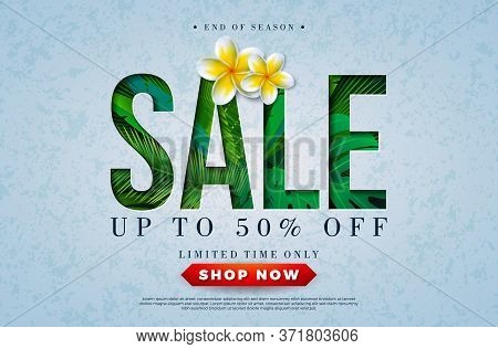 Summer Sale Design With Parrot Flower And Tropical Palm Leaves In Typography Letter On Blue Backgrou