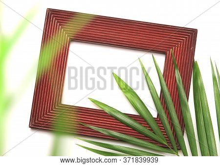Tropical Nature Green Palm Leaf In Picture Frame On White Background With Blurred Tree