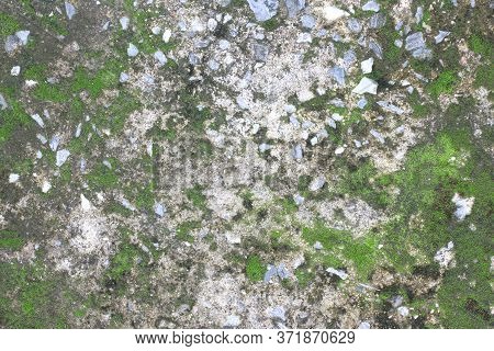 Background Texture: The Surface Of Old Concrete Slab Covered With Moss Or Algae