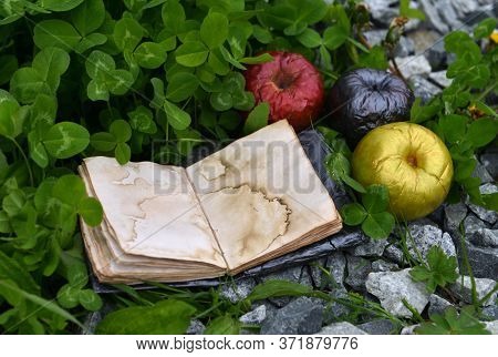 Poisonous Magic Apples And Open Diary With Empty Pages Outdoors. Esoteric, Gothic And Occult Backgro