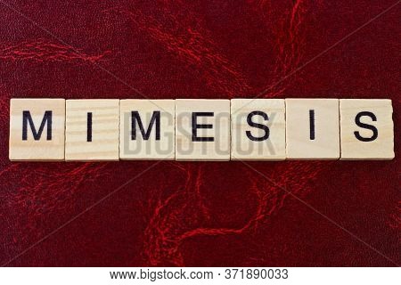 Text The Word Mimesis From Gray Wooden Small Letters With Black Font On An Red Table