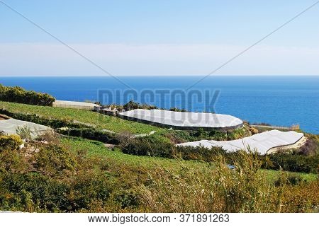 View Of The Village With Crops Growing Under Poly-tunnels In The Foreground, Maro, Costa Del Sol, Ma
