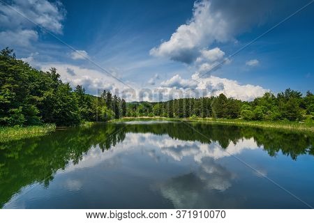 Panoramic View Of Mountain Lake And Forest