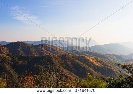 Plants And Wild Flowers On The Mountain, Views Of The Mountains In Phetchabun Province, Thailand.