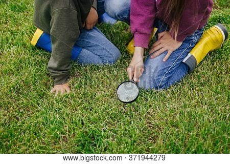 Children Sit On Green Grass And Look Through A Magnifying Glass. Digital Detox Concept. Offline Conc