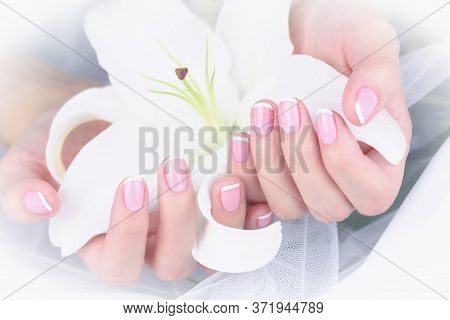 Female Hand With French Manicure With A White Lily On A White Background.