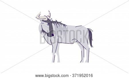 African Cattle Standing Semi Flat Rgb Color Vector Illustration. Indonesian Wildlife Mammal. Wild Bu
