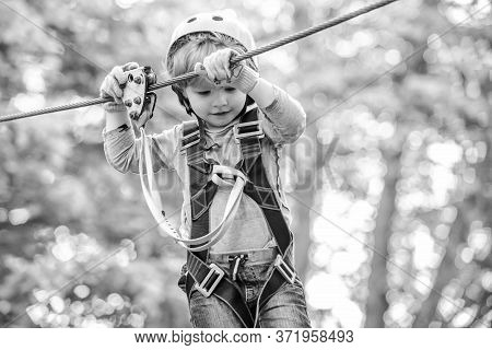 Child Boy Having Fun At Adventure Park. Happy Child Climbing In The Trees. Happy Little Child Climbi