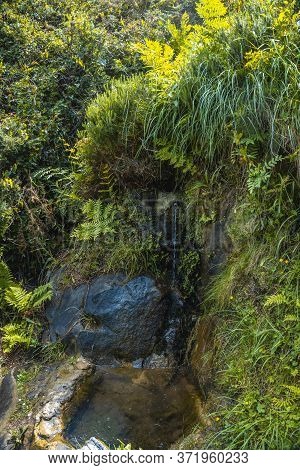 Monte Ulia In The City Of San Sebastián, Basque Country. Visit The Hidden Cove Of The City Called Il