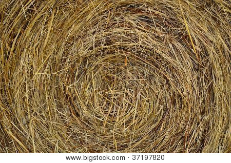 Hay roll