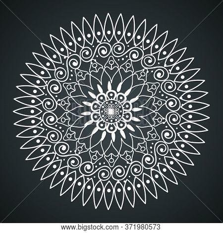 Mandala With Graphic Bordar Style Vector Illustration