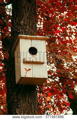 Autumn Birdhouse On A Tree In The Spring Forest. House For Starlings. Wooden White Nesting Box.