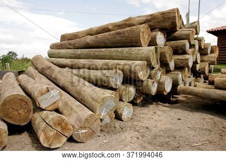 Eunapolis, Bahia / Brazil - November 26, 2010: Autoclave Treated Eucalyptus Wood, Making The Wood Im